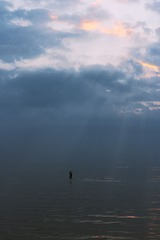沐.