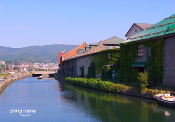 DSC00675.jpg