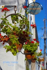DSC00975.jpg
