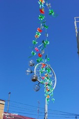 DSC00857.JPG