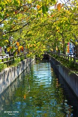 DSC02100.JPG