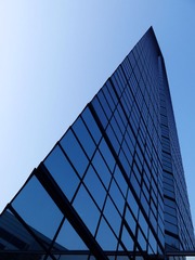 P1000211.jpg