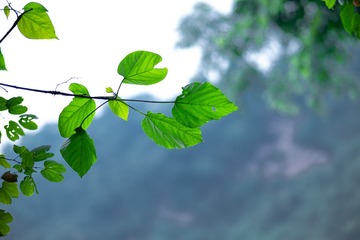 17DB7871-4E95-4A45-942D-1F504F8C7156/L0/001