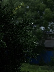 FBB7AEFF-F87E-413E-A61F-6D1F616DAC9A/L0/001