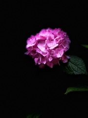 87828B8F-3584-460A-938E-84D6F20D0A29/L0/001