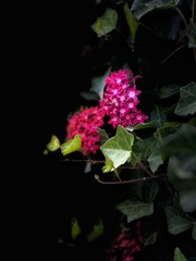 29C9B9C8-8EC9-400D-8E9A-9E4C07EC5D7D/L0/001