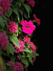 0F4823BD-12F8-42E1-81B3-7E499F0DF614/L0/001