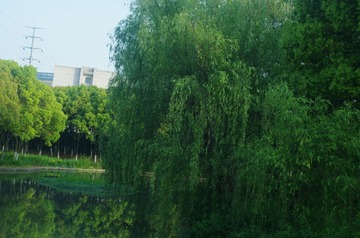 28D981EE-6A17-400A-8C2D-E9679343BFD5/L0/001