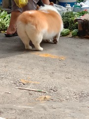 757838