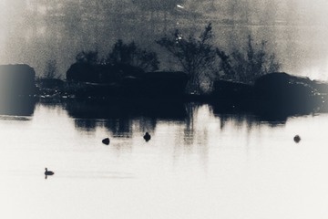 1000510462