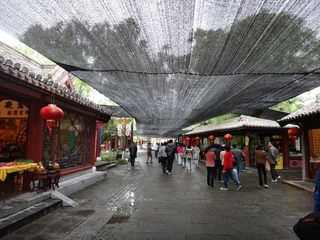 DSC00135.JPG