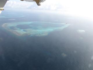 复件 IMG_0527.JPG