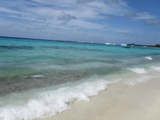 复件 IMG_0540.JPG