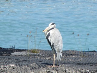 复件 IMG_0555.JPG