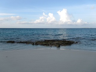 复件 IMG_0571.JPG