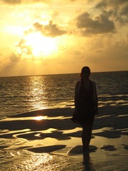 复件 IMG_0613.JPG