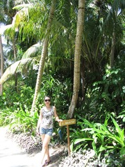 复件 IMG_0670.JPG