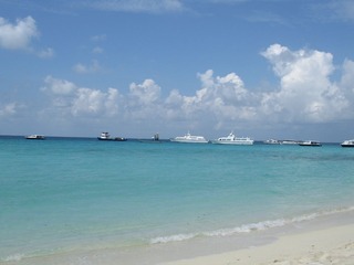 复件 IMG_0681.JPG