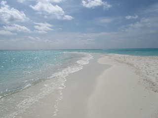 复件 IMG_0957.JPG