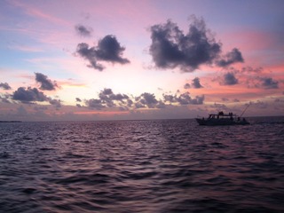复件 IMG_1033.JPG