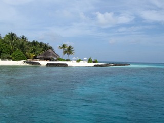 复件 IMG_1057.JPG