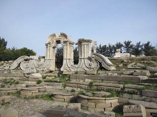 复件 IMG_3250.JPG