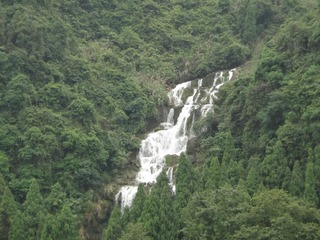 复件 DSC00351