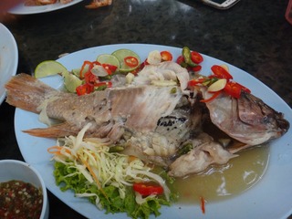 复件 DSC00601