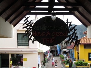 复件 IMG_3816