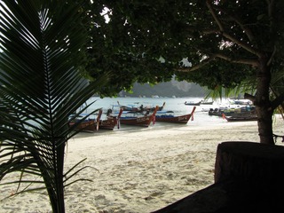 复件 IMG_3823