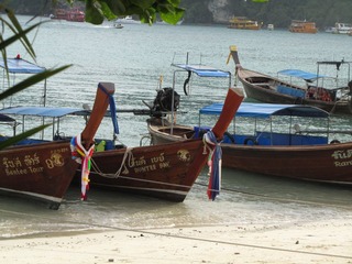 复件 IMG_3825