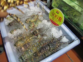 复件 IMG_3865