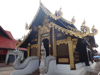 复件 DSC00672
