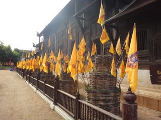 复件 DSC00689