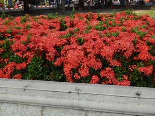 复件 DSC00703