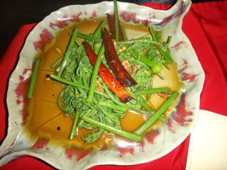 复件 DSC00788