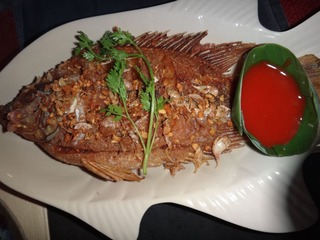 复件 DSC00800