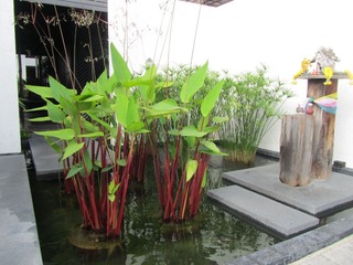 复件 IMG_3906