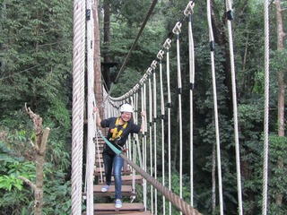 复件 IMG_3955