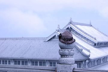 银顶.jpg