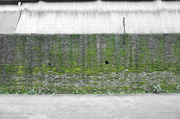 DSC01803_副本.jpg