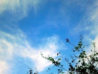 2013-05-29 07.29.39.jpg