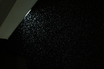 1000017675