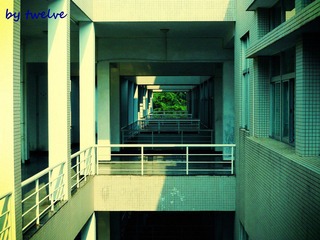 DSCN1603_conew1.jpg
