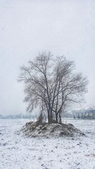 967389