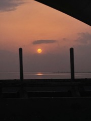 2A0D22CE-EE6F-47AE-95EC-23F67BB16F72/L0/001