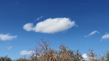 9B69DA74-07CC-46FF-B0D3-BA00F8CF0C9C/L0/001