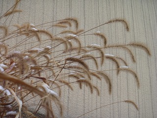 1000055140