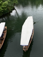 A250A76E-3A38-49DD-8DD1-2E49E18D73F2/L0/001