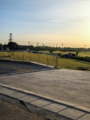 1000054335
